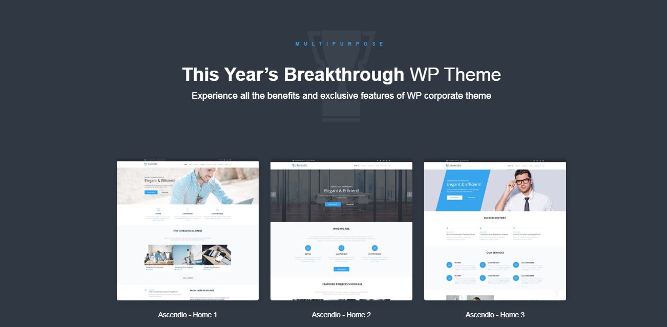 10+ Best TemplateMonster WordPress Theme 17 ascendio efficient and bright templatemonster wordpress theme